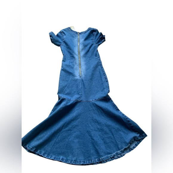 Stylish Blue Denim Dress - Picture 10 of 14